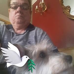 Meet your Posher, Carlos